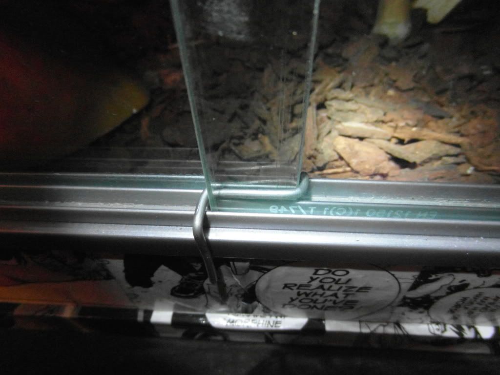 Vivarium Lock!!! Reptile Forums