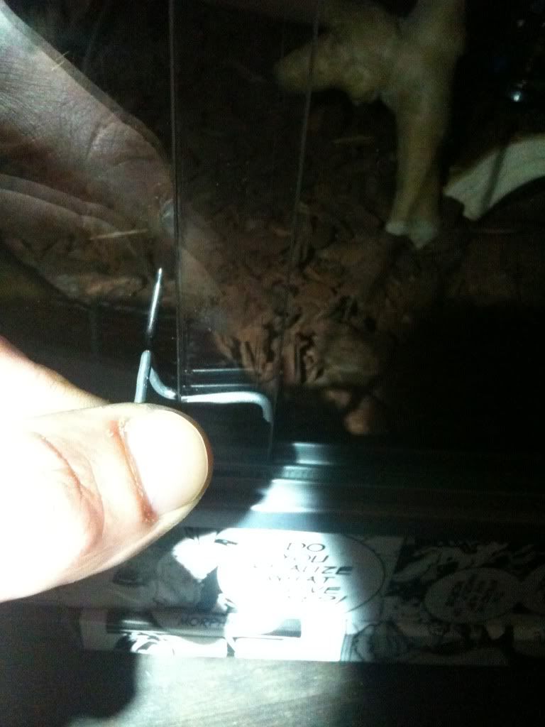 Vivarium Lock!!! Reptile Forums