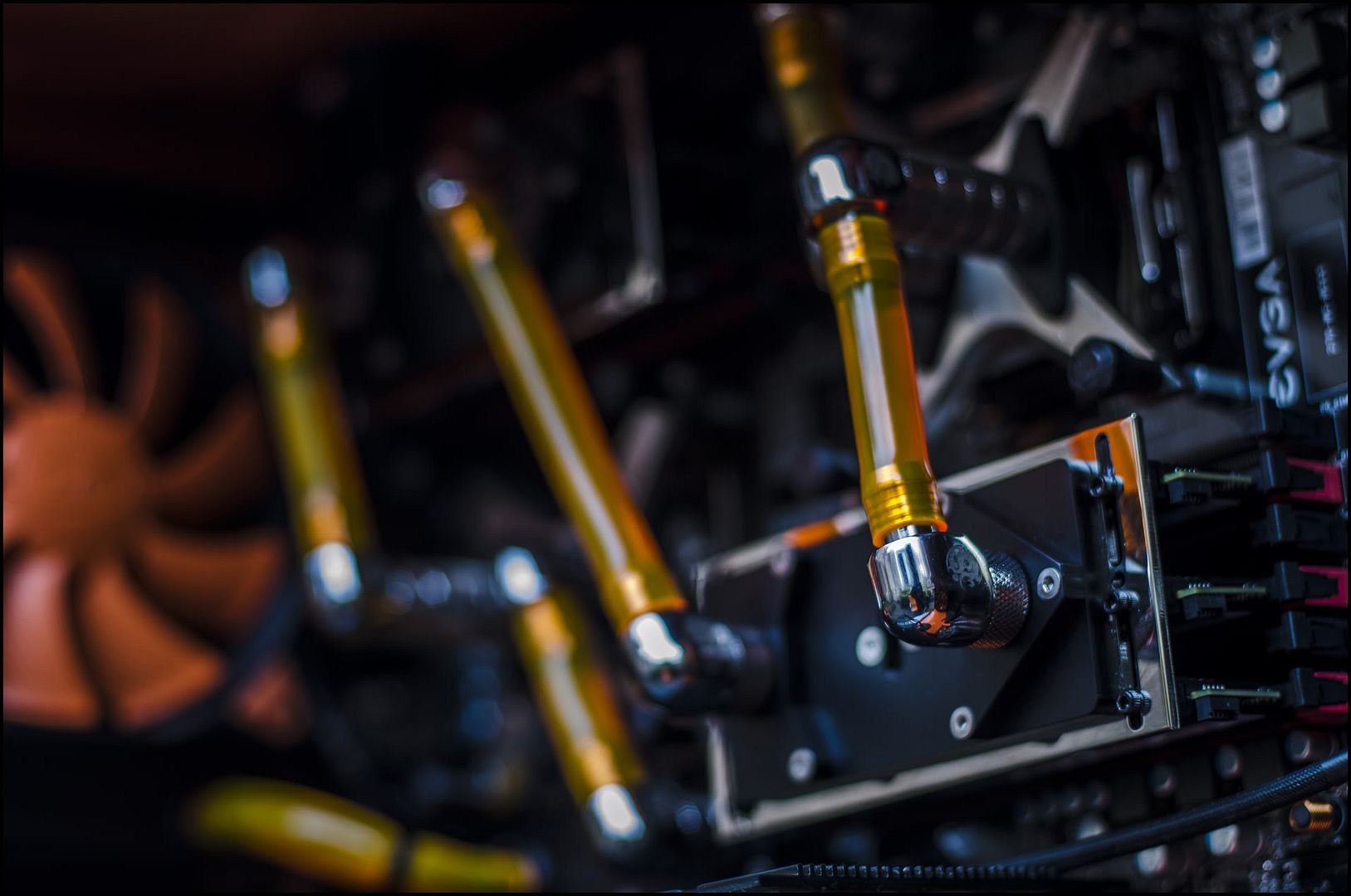 _DSC9986asSmartObject-1copy.jpg