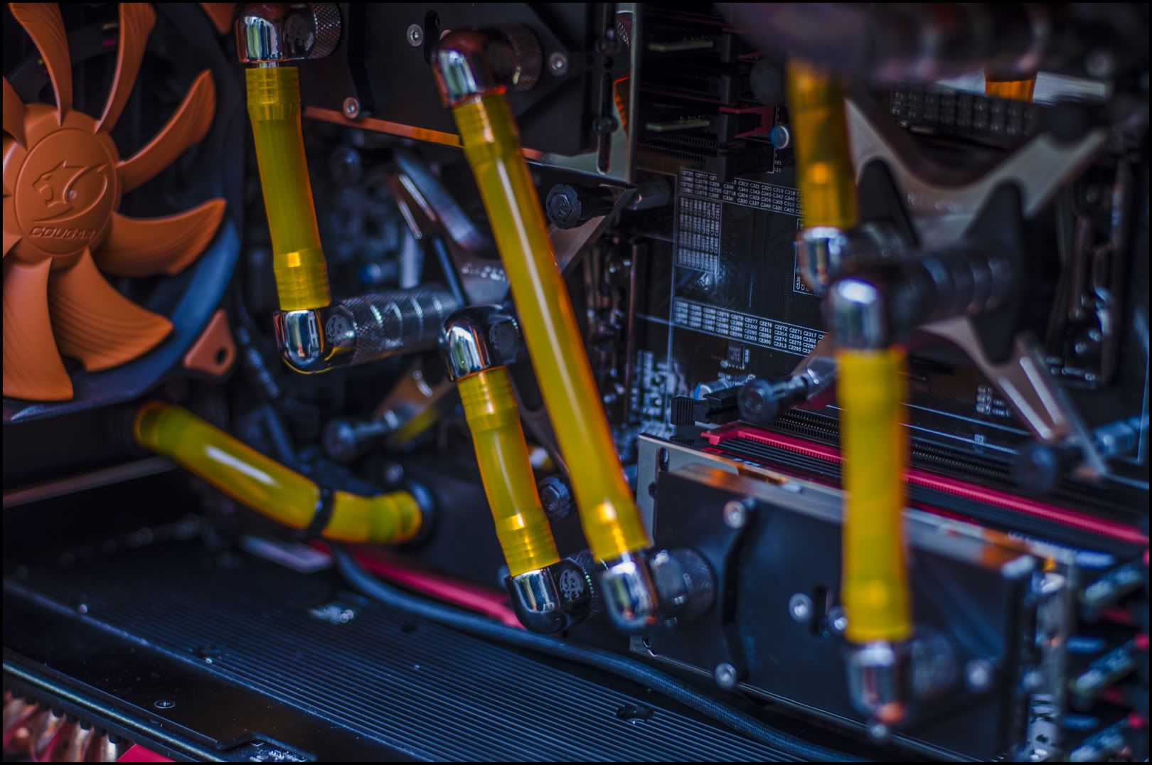_DSC9987asSmartObject-1copy.jpg