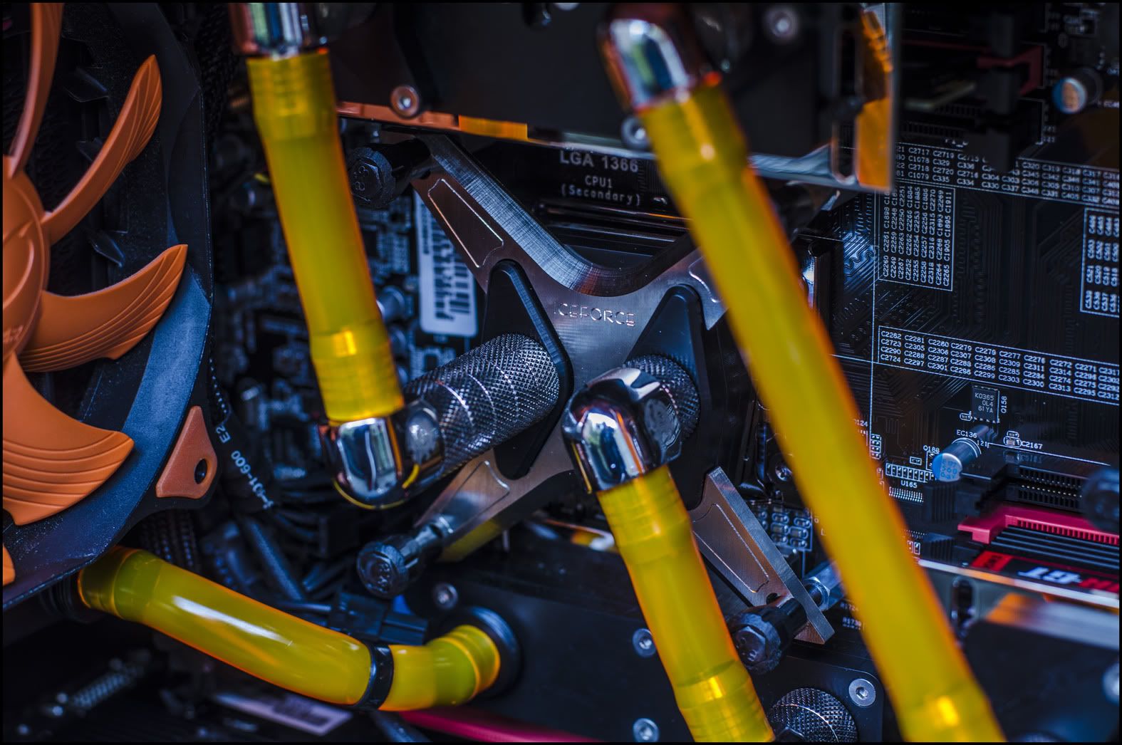 _DSC9991asSmartObject-1copy.jpg