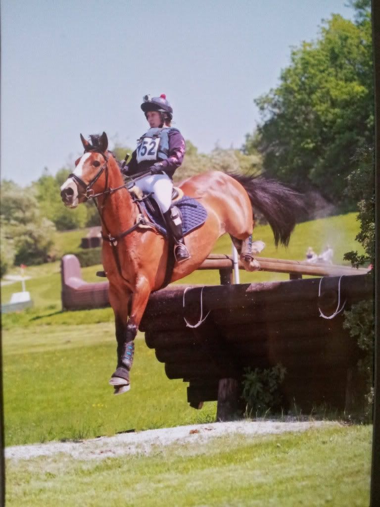 pro show jumping hats