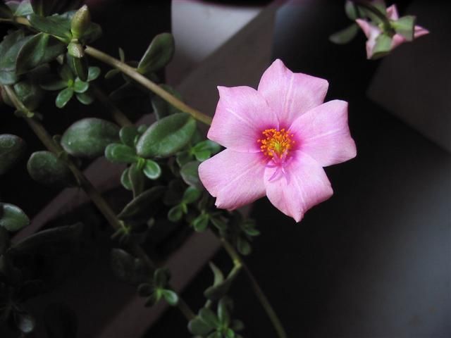  photo IMG_8958Small.jpg