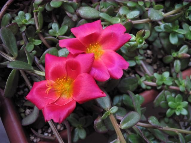  photo IMG_8959Small.jpg