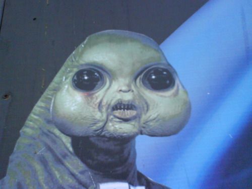 Myface.jpg