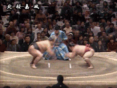 sumo.gif