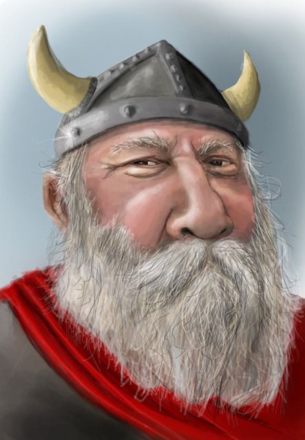 viking.jpg