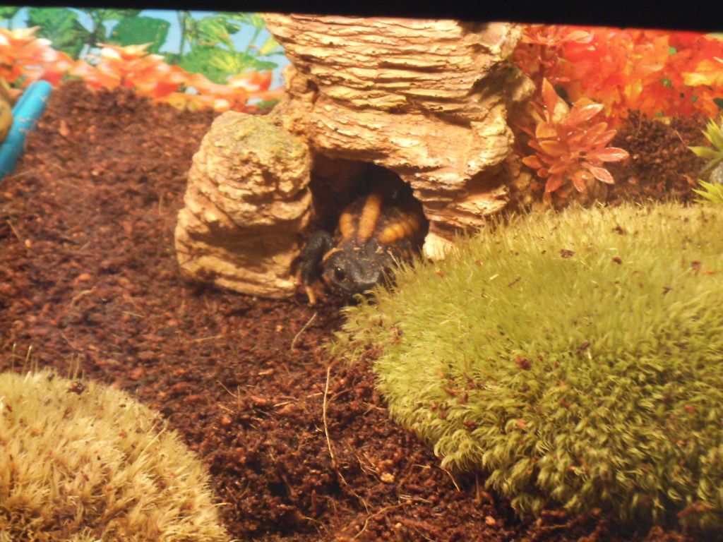 DSCF7930.jpg