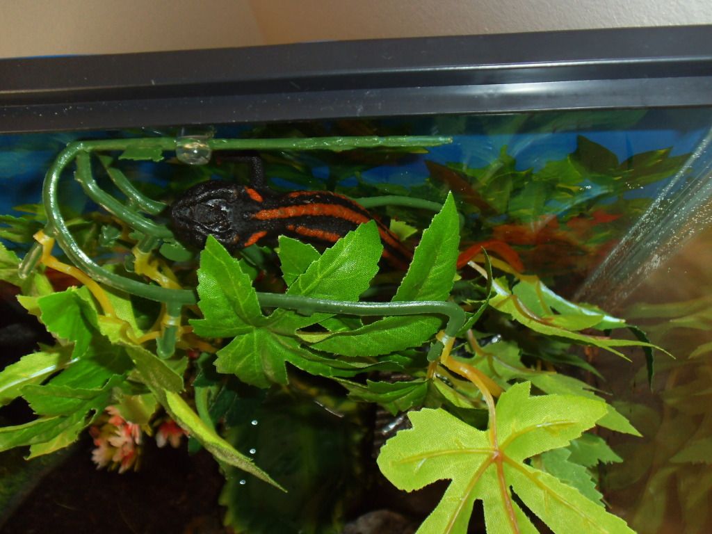 DSCF8023.jpg
