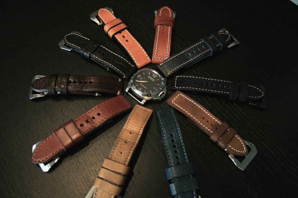 PAM351-star.jpg