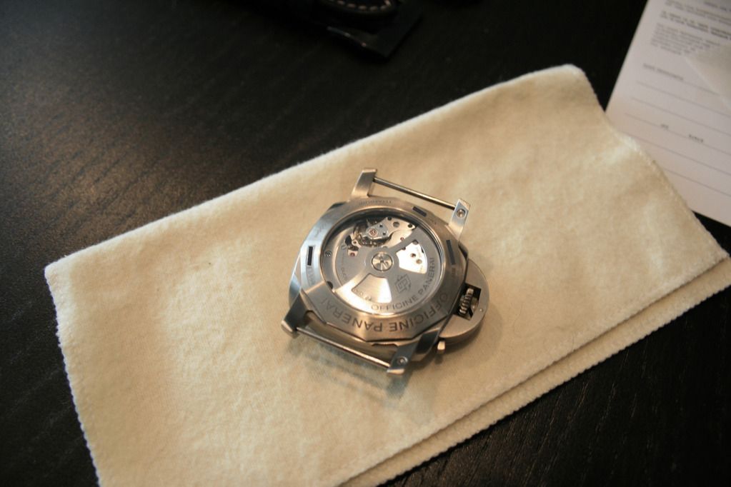 pam351-back.jpg