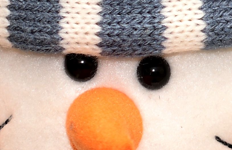 100 % crop from above 