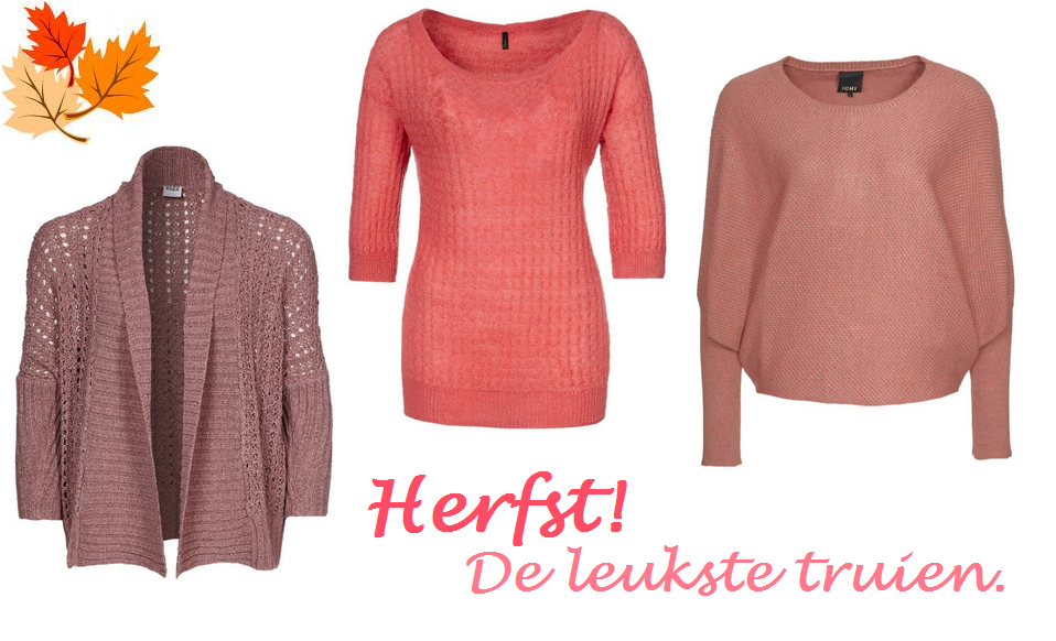 Leukste herfst truien