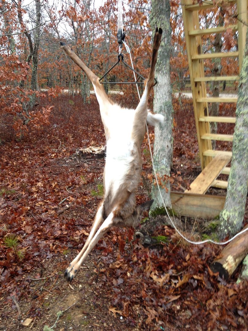 DIY tree stand/platform | Archery Talk Forum